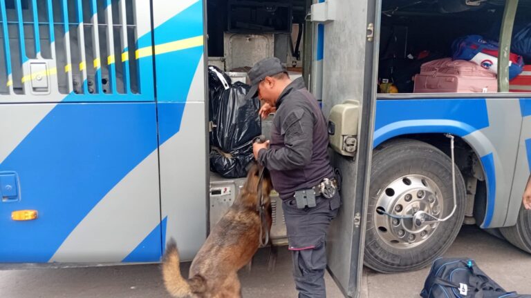 Binomios K-9 de la Guardia Estatal refuerzan la seguridad en Central de Autobuses de Ciudad Victoria